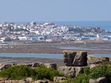 P1070666.jpg