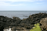 IMG_3562.jpg
